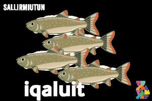 Inuvialuit GIF by Tusaayaksat Magazine