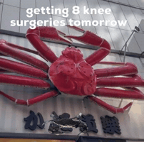 Knee Surgery Crab GIF