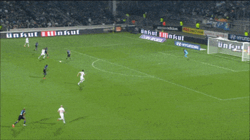 les gones ol GIF by Olympique Lyonnais