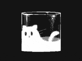 Cat GIF