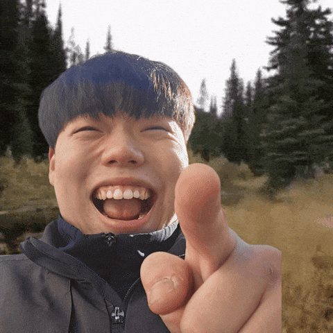 Meme GIF