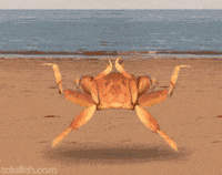 Crab Dance GIFs - Find & Share on GIPHY
