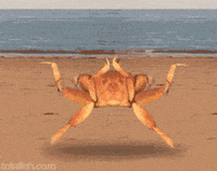 Spider Crab Gifs Get The Best Gif On Giphy