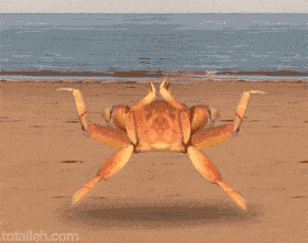  running crab crabs happy crab GIF