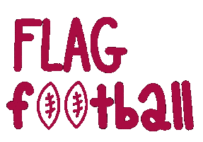 Flag Flagfootball Sticker by pragueharpies