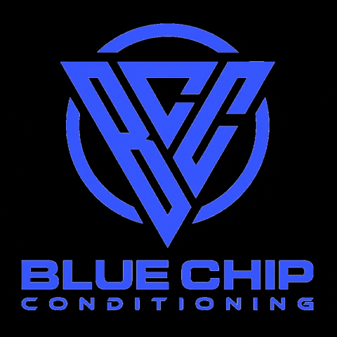 bluechipconditioning bcc bluechip blue chip blue chip conditioning GIF