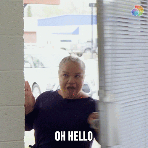 GIF by discovery+