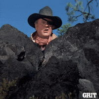 Rooster Cogburn What I'll Do