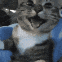 Happy GIF