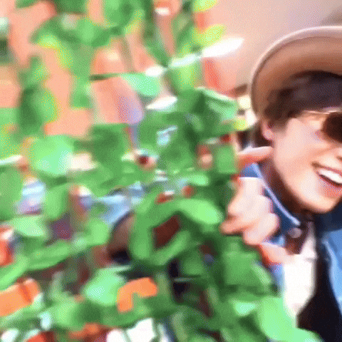 Dino 세븐틴 GIF