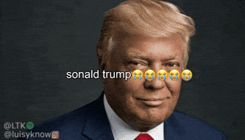 Donald Trump GIF