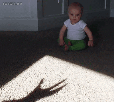 spooky shadow GIF