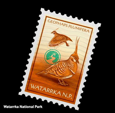 NortherHQ australia birds stamp bats GIF