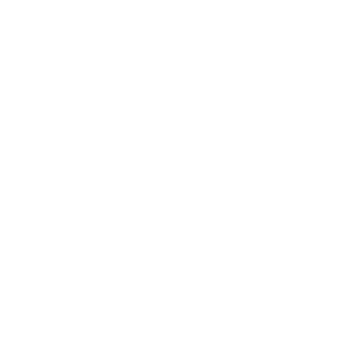 Connecticut Sticker by PG Sports