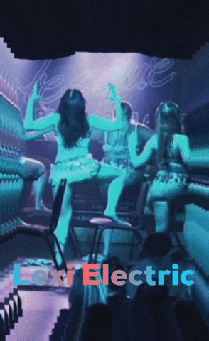 Show Time Dancer GIF