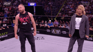 Jon Moxley Middle Fingers GIF