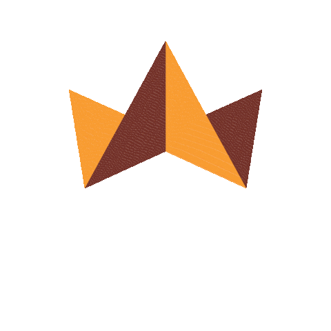 koningsdagnoordplein Sticker