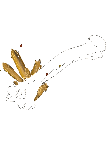 Crystal Bones Sticker