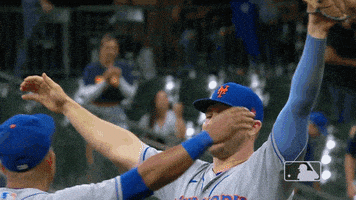 Major League Baseball Hug GIF by MLB