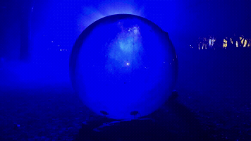 Furry GIF
