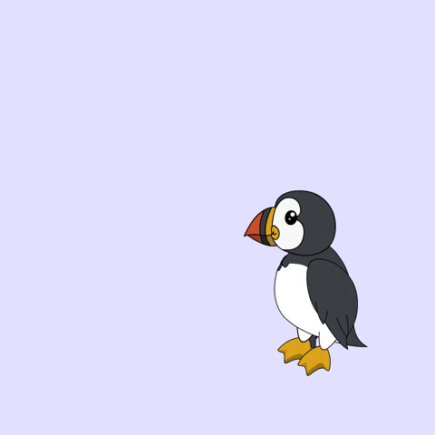 Puffins GIF
