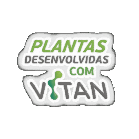 Satisnocampo Sticker by Satis