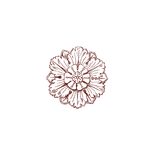 Kiara Dubai Sticker