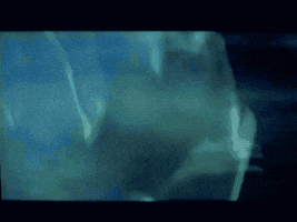 200.gif?cid=fc005b080f5662c83b5438eb8b341918a1c14c1fa5cd6f81&rid=200.gif&ct=g