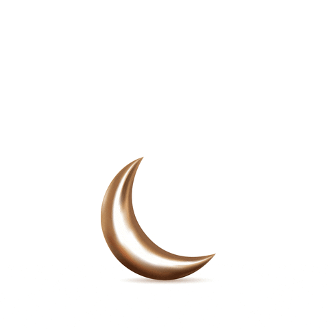 Islamic Relief Switzerland GIF