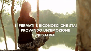 socialware-italy  GIF