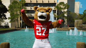 Houston Cougar Athletics GIF