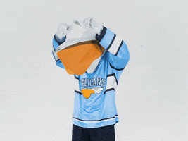 PelicansFi love hockey mascot ice hockey GIF