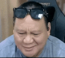 Prabowo Sawit GIF