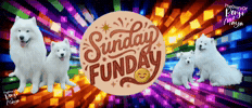 Weekend Sunday GIF