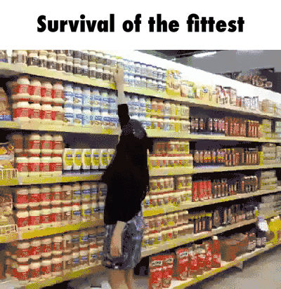 Image result for survival of the fittest gif