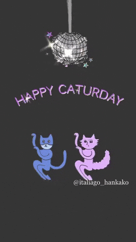Happy Fim De Semana GIF