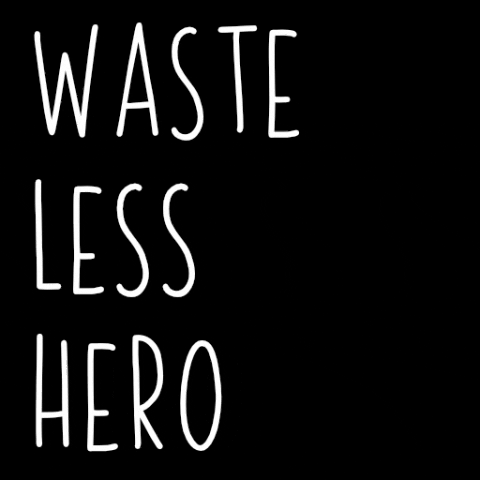 wastelesshero zero waste nachhaltig plastikfrei wastelesshero GIF