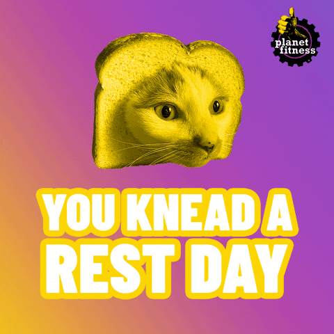 Workout Cat Gif GIF by Planet Fitness