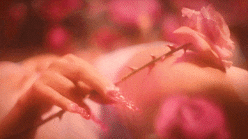 Roses GIF by Kali Uchis