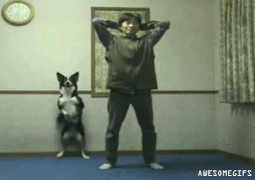 Dog Man GIF - Find & Share on GIPHY