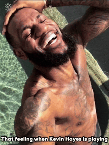 Lebron James Nhl GIF