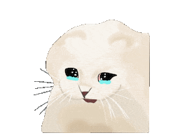 Cat Meme Sticker