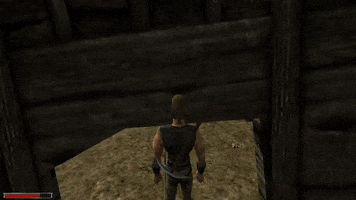 Bugs GIF
