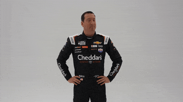Confused Kyle Busch GIF by Richard Childress Racing
