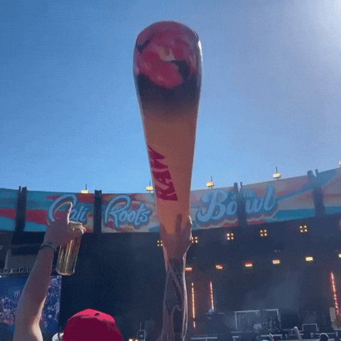 Festival Concert GIF by RAW Rolling Papers