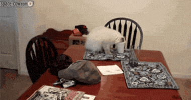 200.gif