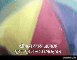 Bangla Riaz GIF by GifGari