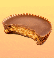 Food Drink Chocolate GIF by Shaking Food GIFs