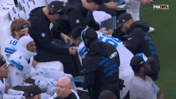GIF by Detroit Lions