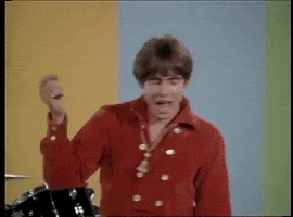 Happy Davy Jones GIF by The Monkees